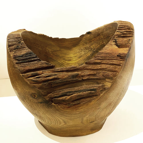 Bowl - fosil elm